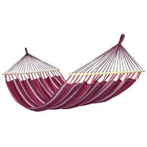 ���� ����� ���� ���� 20236