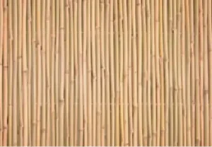 ��� ����� �����, ���� ��� 20-22 �"�, ���� 1X2 ���, ���� ����� �����, ��"� 900034