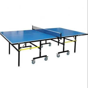 Стол для пинг-понга (теннис), за исключением любой частной погоды на открытом воздухе